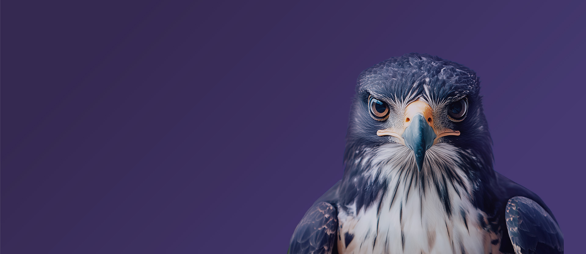 Pro Comparative analysis promo banner